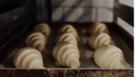 credit: Harvest Food & Wine